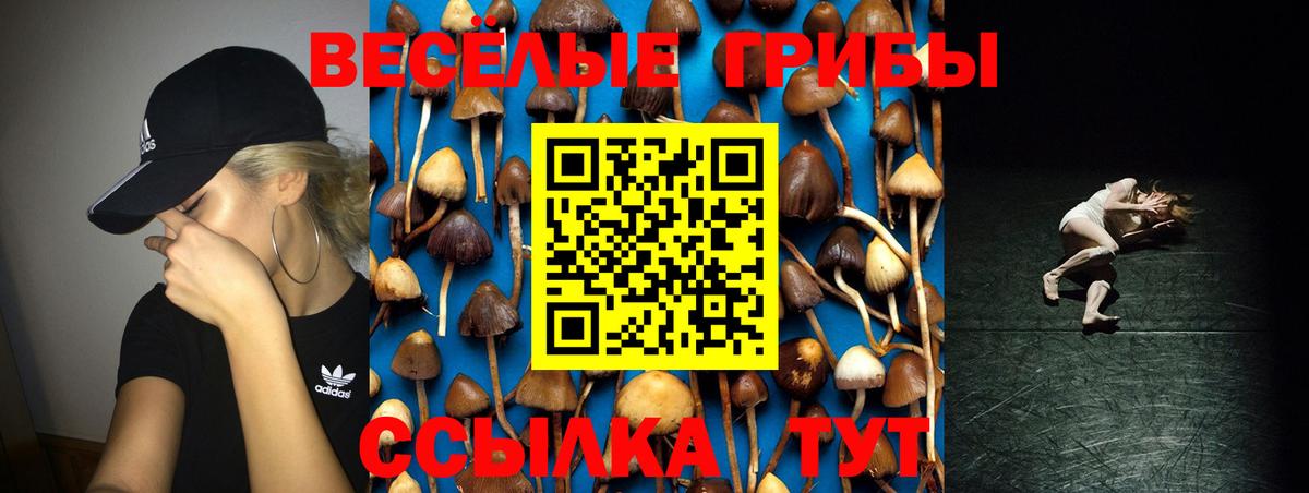 Галлюциногенные грибы Psilocybe  Вход с VPN  Бийск 